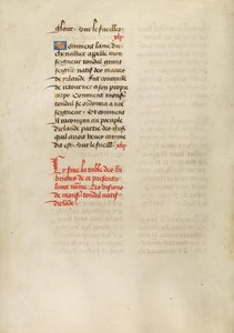 Text Page